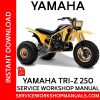 Yamaha Tri-Z YZ250 Service Workshop Manual
