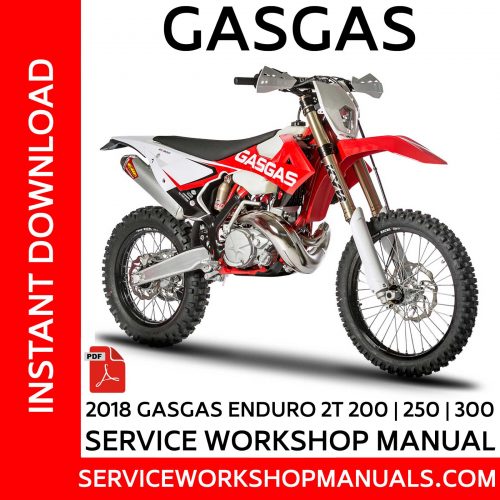 GasGas Enduro 2T 200, 250, 300 Service Workshop Manual 2018